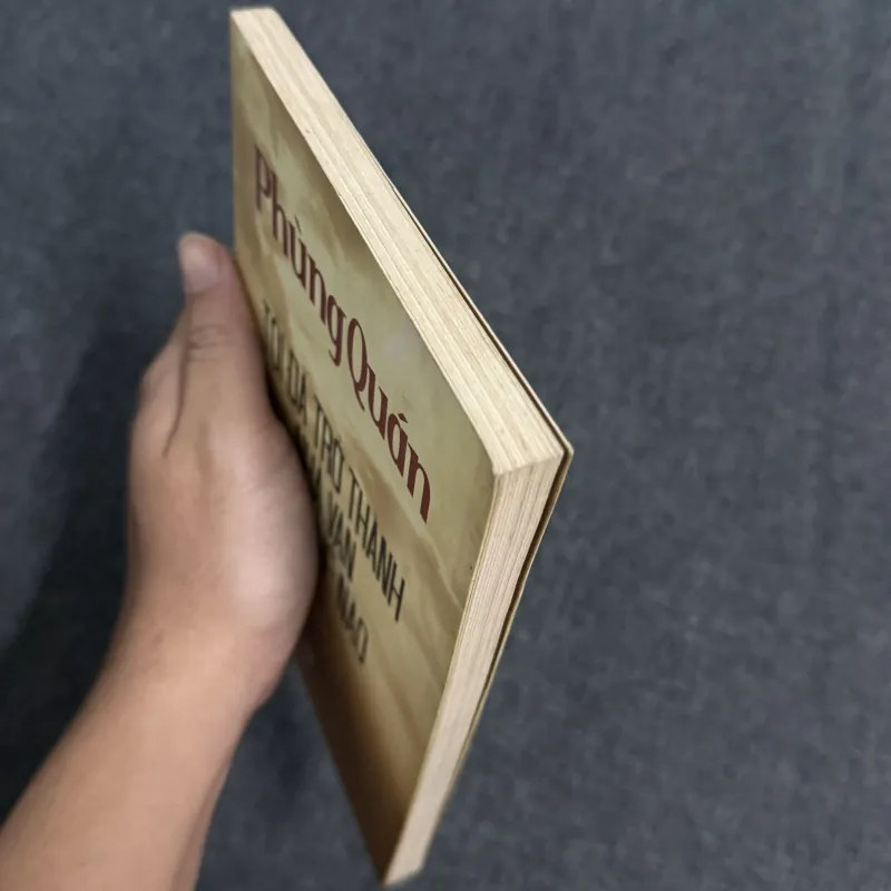 Tôi đã trở thành nhà văn như thế nào - Phùng Quán 907600