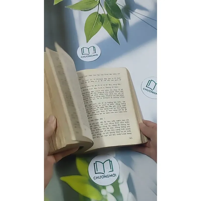 Thôi thúc - Catherine Coulter 695011