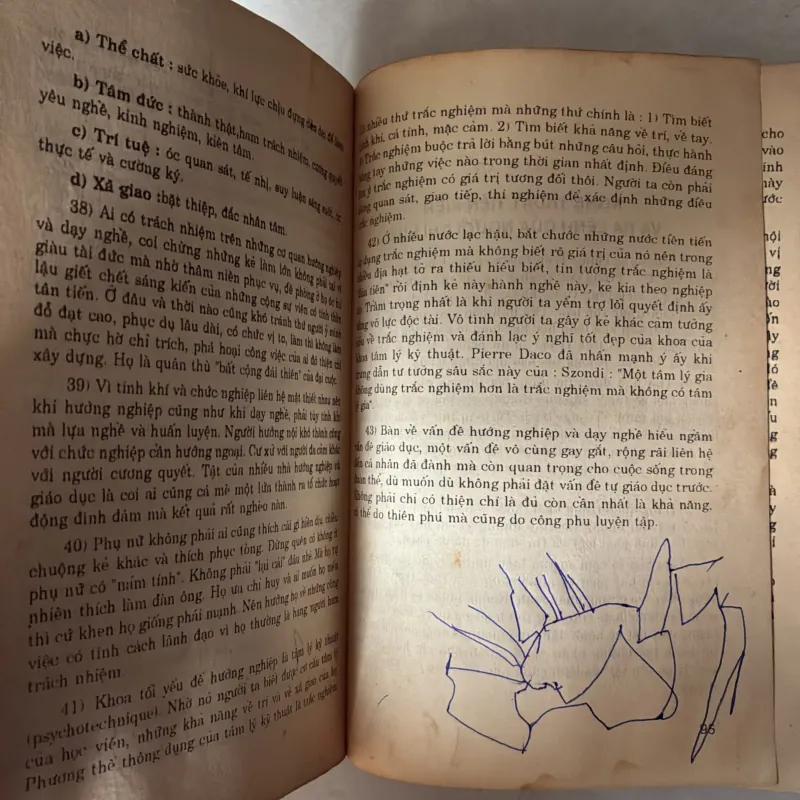 Dụng nhân như dụng mộc - Hoàng Xuân Việt 1023313