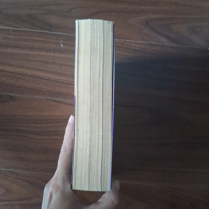 Ánh sáng thành phố 525201