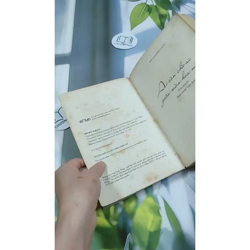 Ai Còn Chờ Ai Giữa Mùa Hoa Nở - Sói Xám Mọc Cánh 744737