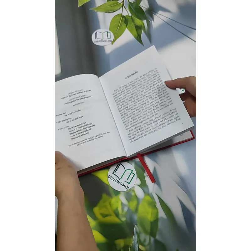 Lịch Sử Đảng Bộ Binh Đoàn 11 (1982 - 2017) 750822