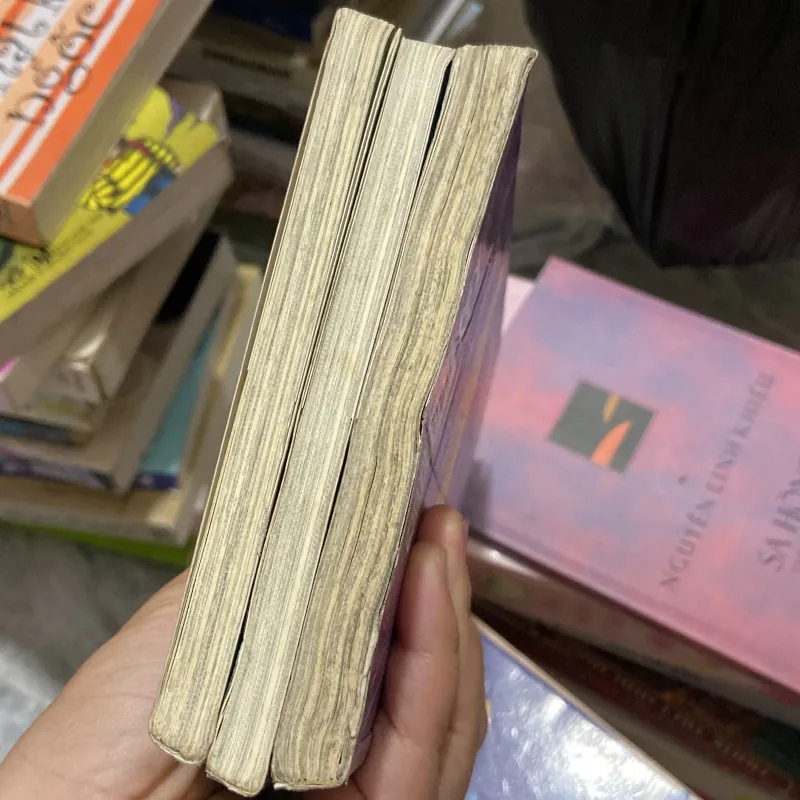 Thuyền trưởng quần lót 1 2 3 - Dav Pilkey 970316