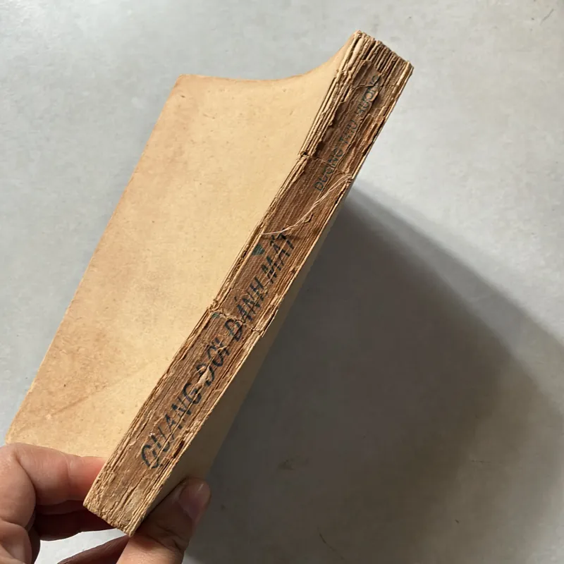 Quãng đời đánh mất - 1989s 739232