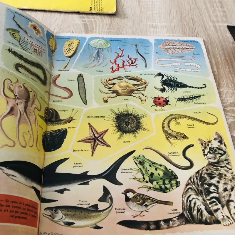 TẠP CHÍ TOUT L’UNIVERS – 1962 (2) 1017498