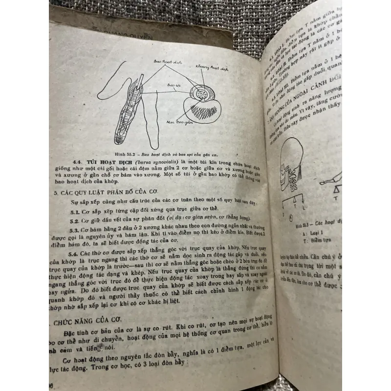 Bài giảng giải phẫu bệnh học - 2 tập, sách dày hơn 800 trang khổ lớn  1009096