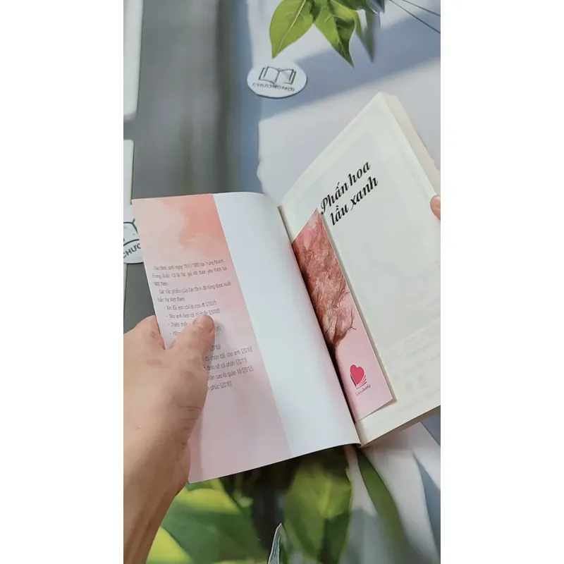 Phấn Hoa Lầu Xanh - Tào Đình 744692