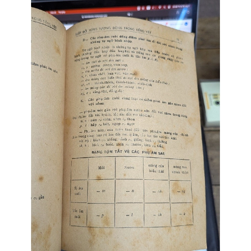 LƯỢC KHẢO VỀ NGỮ PHÁP VIỆT NAM - DOÃN QUỐC SỸ & ĐOÀN VIẾT BỬU 191561