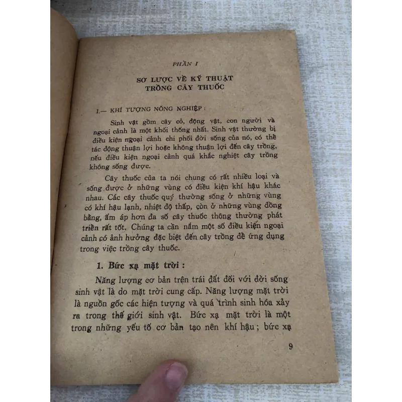 Những kinh nghiệm trồng và sử dụng 1 số cây thuốc nam 995088