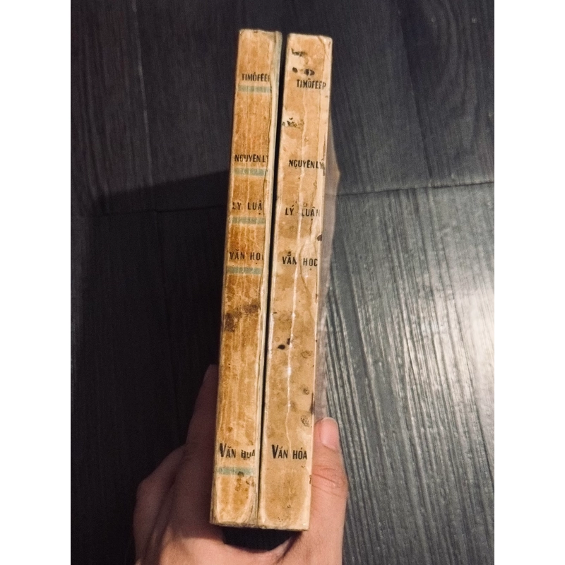 Nguyên lý lý luận văn học (sách bao cấp) 466374
