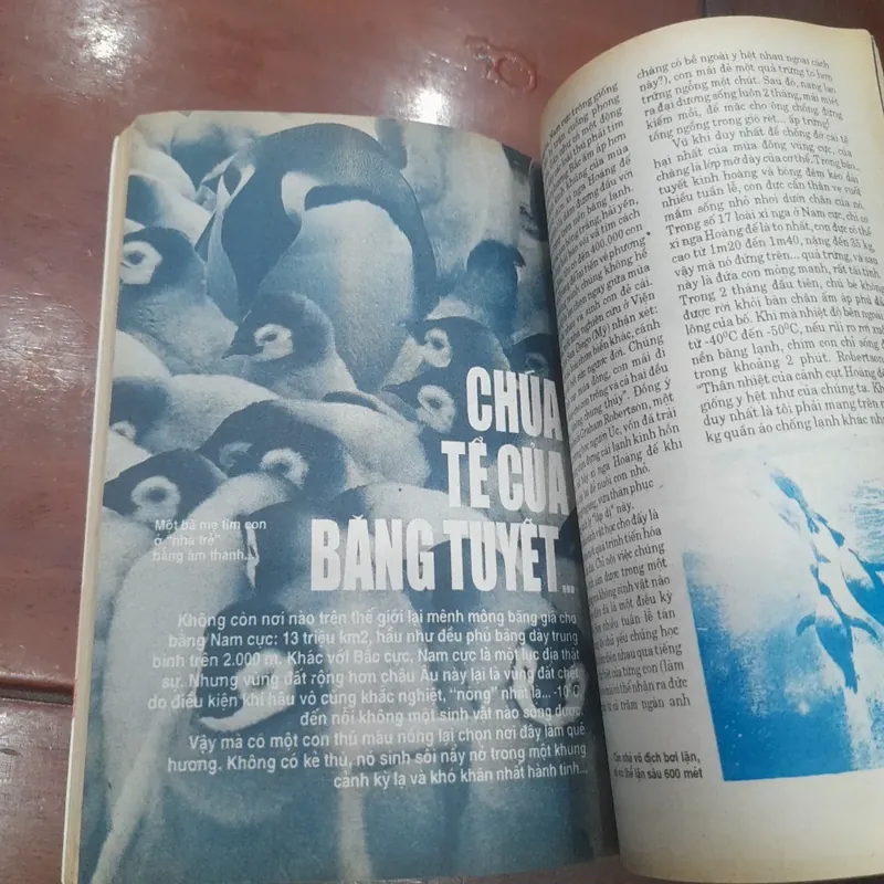 KIẾN THỨC NGÀY NAY số 205 ngày 10-04-1996 593593