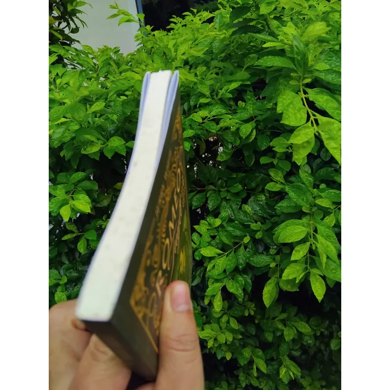 Romeo và Tuyết tự truyện của Jerry White 1000247