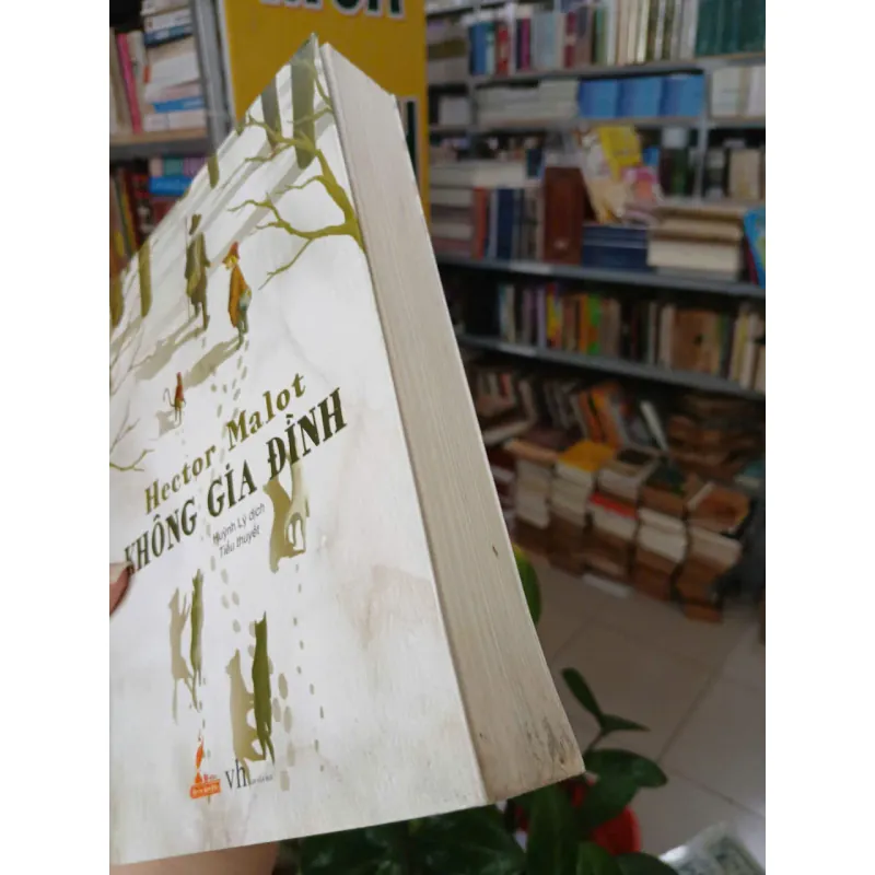 KHÔNG GIA ĐÌNH - HECTOR MALOT (HUỲNH LÝ DỊCH) 1038399
