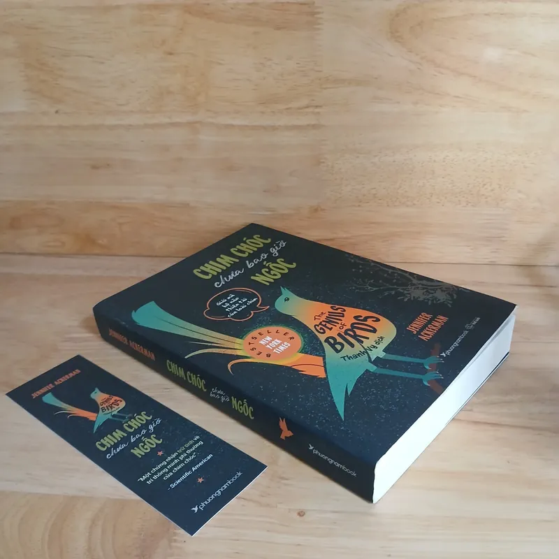 Chim Chóc Chưa Bao Giờ Ngốc - Jennifer Ackerman 739569