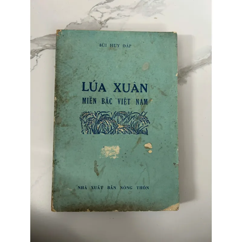 Lúa xuân miền Bắc Việt Nam – Bùi Huy Đáp 745714