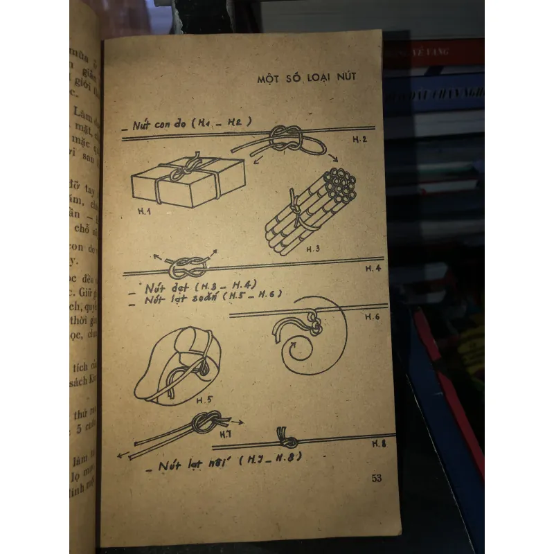 Công tác tổ chức và giáo dục đội nhi đồng Hồ Chí Minh  797478