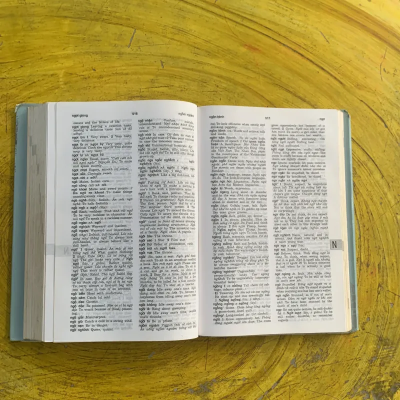 TỪ ĐIỂN VIỆT - ANH VIETNAMESE- ENGLISH DICTIONARY  1037215
