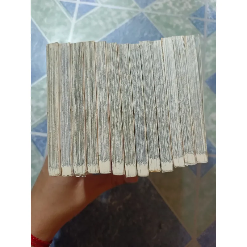 Con đường mùa xuân ( 13 tập) 975983