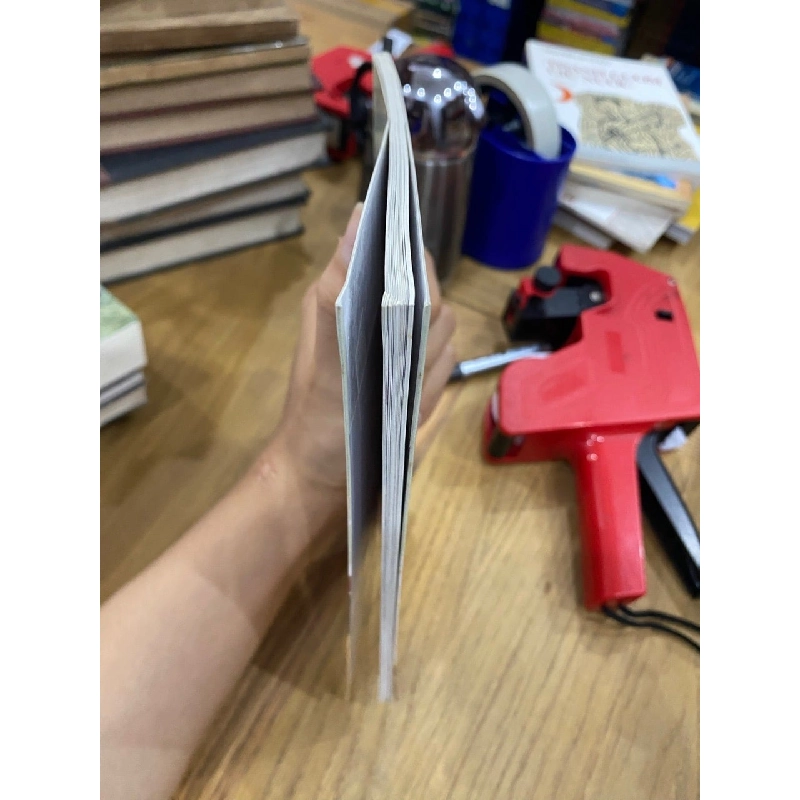 Một trăm chiếc váy - Eleanor Estes 531703