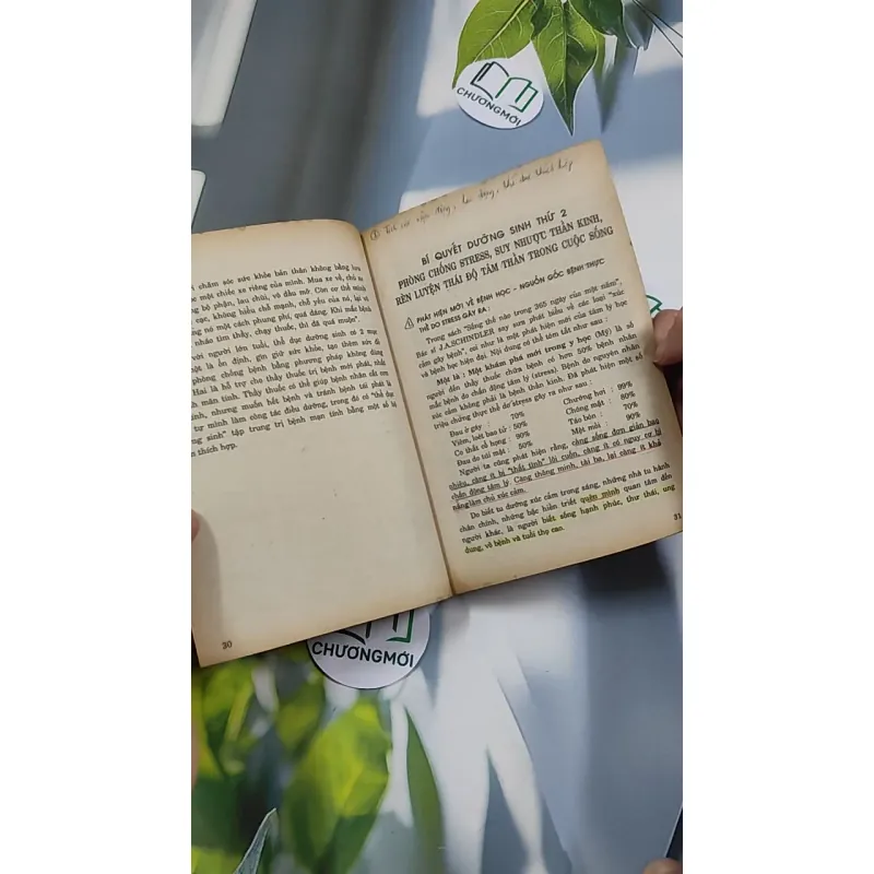 [XƯA] 6 Bí Quyết Dưỡng Sinh Người Có Tuổi (1994) 776147