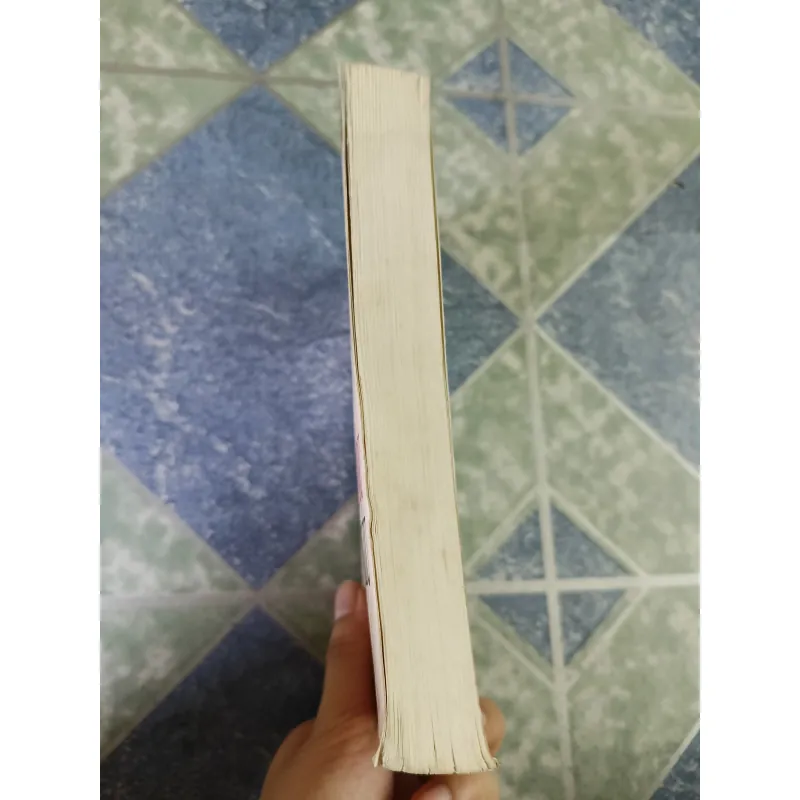 Tìm hiểu phong cách Nguyễn Du trong truyện Kiều - Phan Ngọc 791703