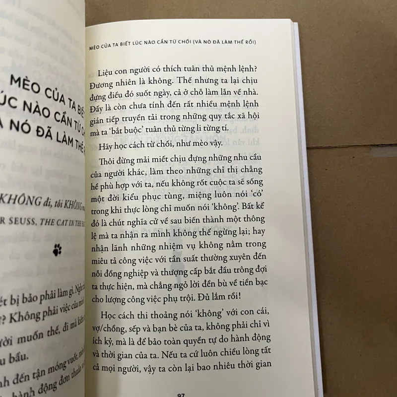 thong dong như chú mèo hóng nắng bên hiên  569514