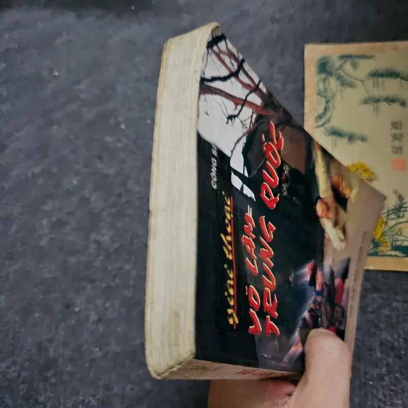 Võ lâm trung quốc 733967