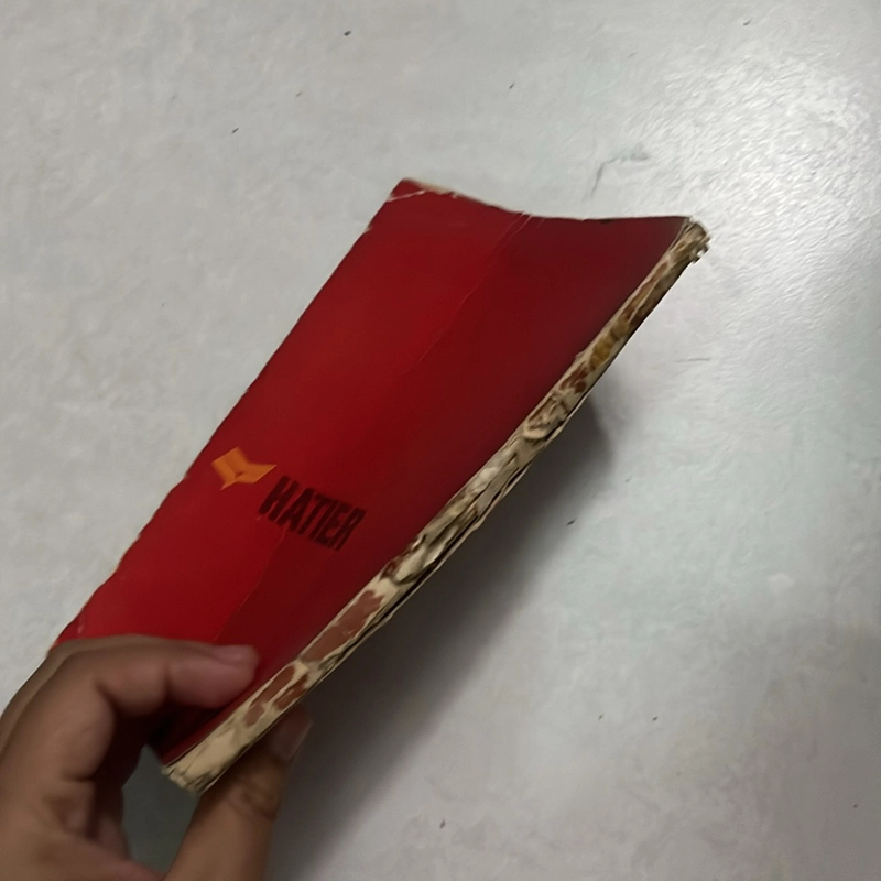 Le nouveau bescherelle l’art de conjuguer dictionaire des 8000 verbes 503591