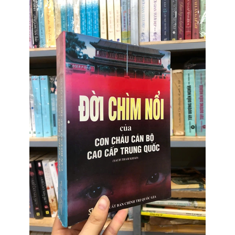 ĐỜI CHÌM NỔI CỦA CON CHÁU CÁN BỘ CAO CẤP TRUNG QUỐC - THẠCH TƯỜNG 455265