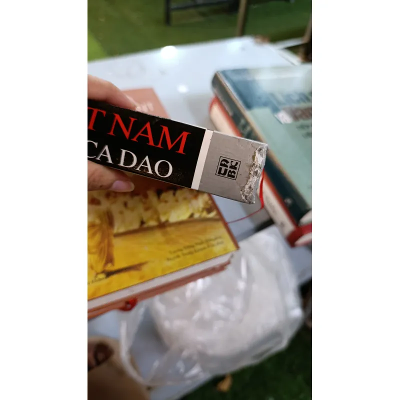 ĐỊA DANH VIỆT NAM TRONG TỤC NGỮ CA DAO - VŨ QUANG DŨNG 722415