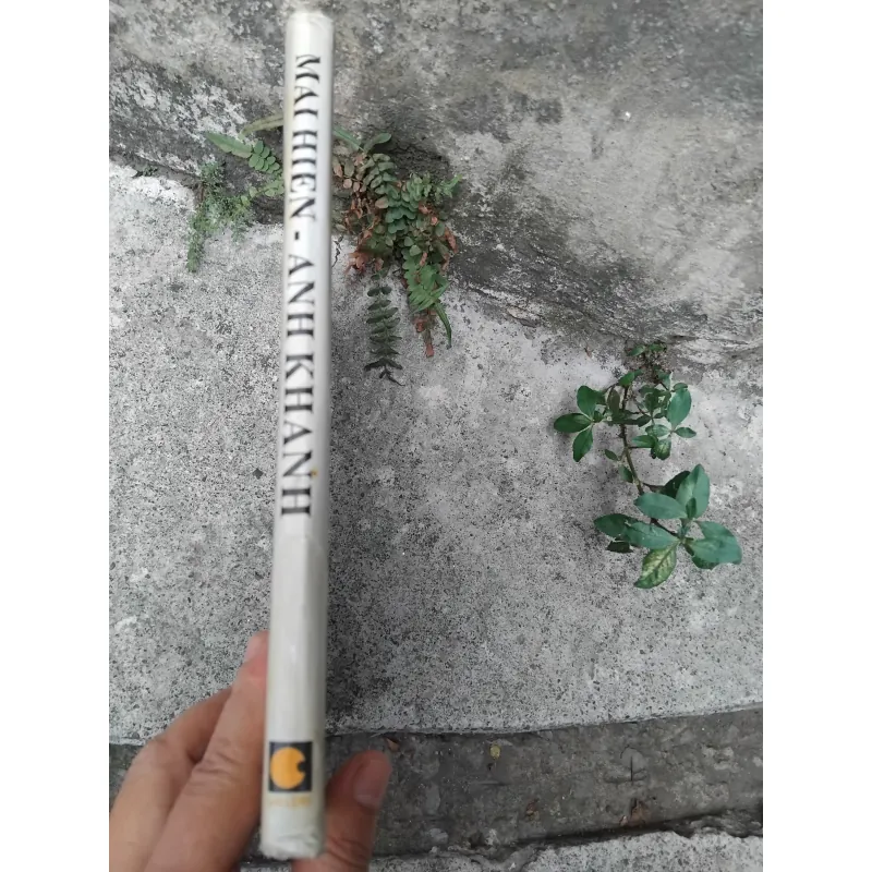 Vựng tập mỹ thuật Bùi Mai Hiên, Đào Anh Khánh  1028214