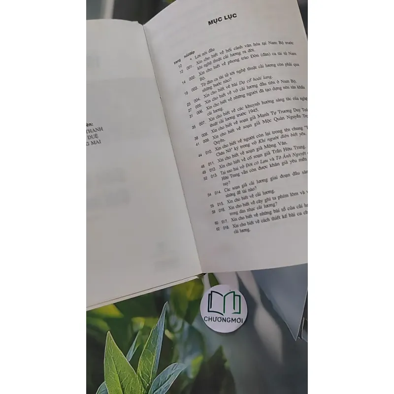 Sân Khấu Cải Lương Ở Thành Phố Hồ Chí Minh 990092