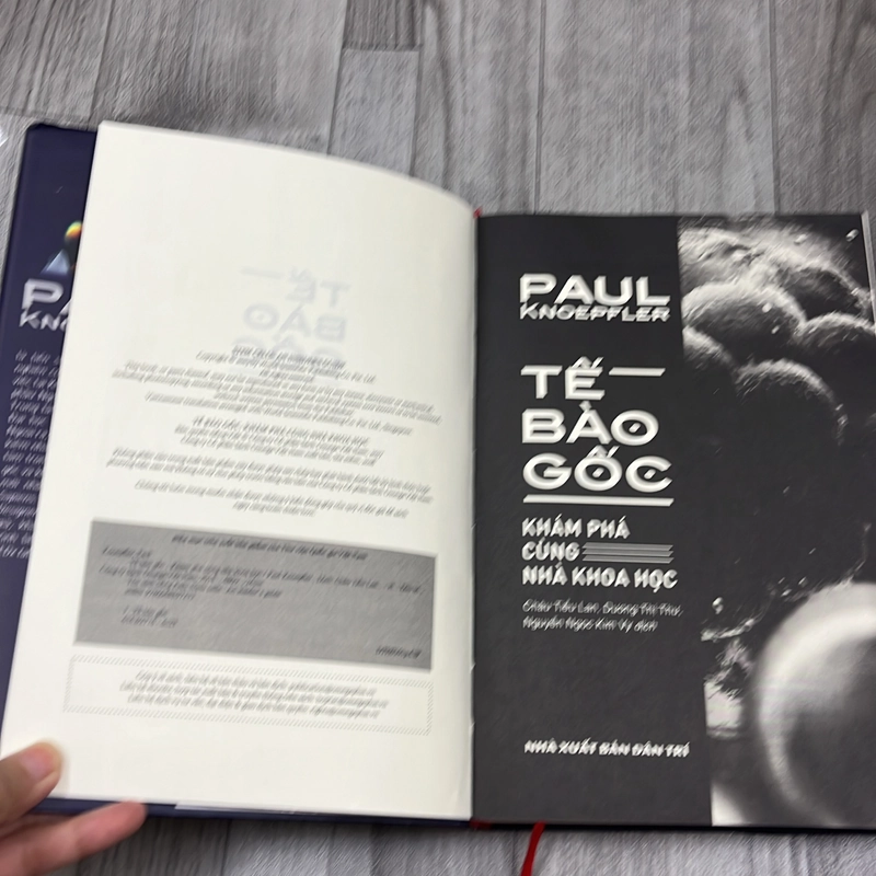 Tế bào gốc. 2b5 539037