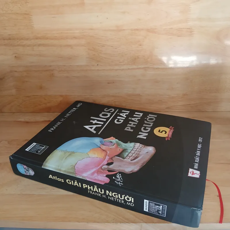 Atlas Giải Phẫu Người (Ấn Bản Lần Thứ 5) - Frank H. Netter, MD 570689