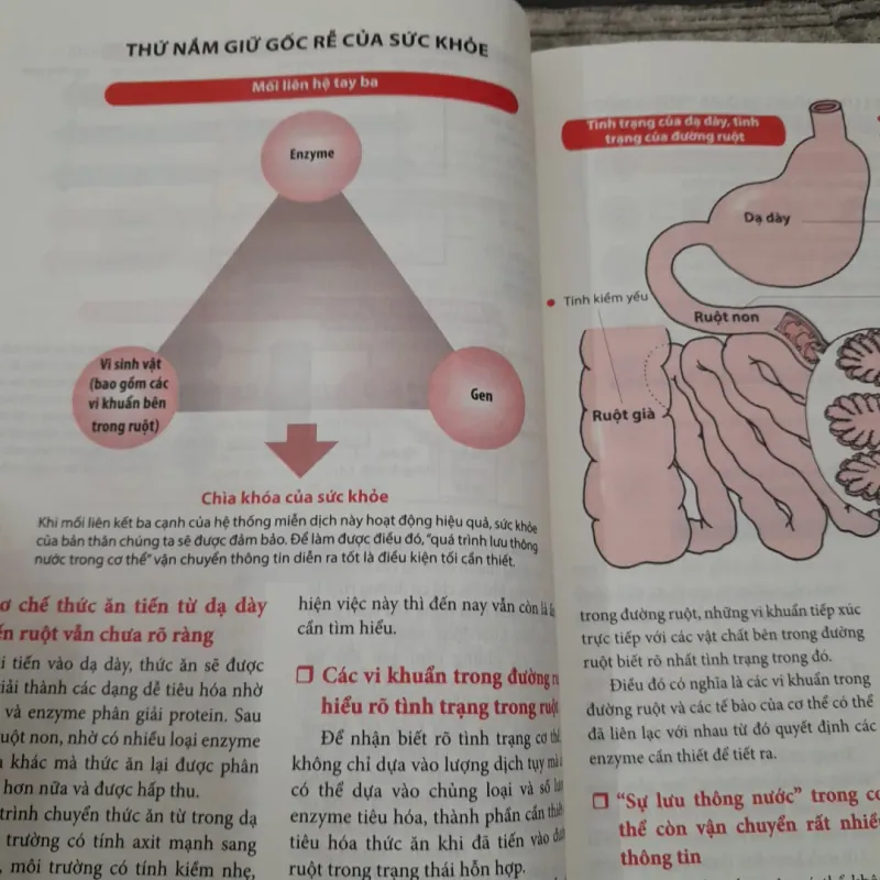Nhân tố ENZYME. Tái bản lần 4. T giả Hiromi Shinya. Như Nữ dịch 746132