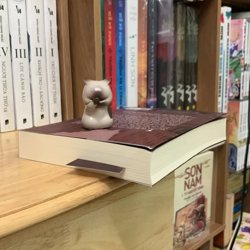 Kẻ lang thang - Lương Kha 746824