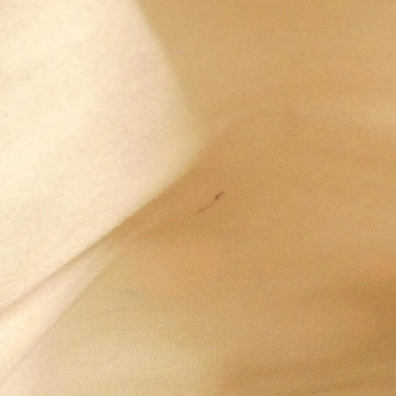 【Vintage】Túi Celine 618290