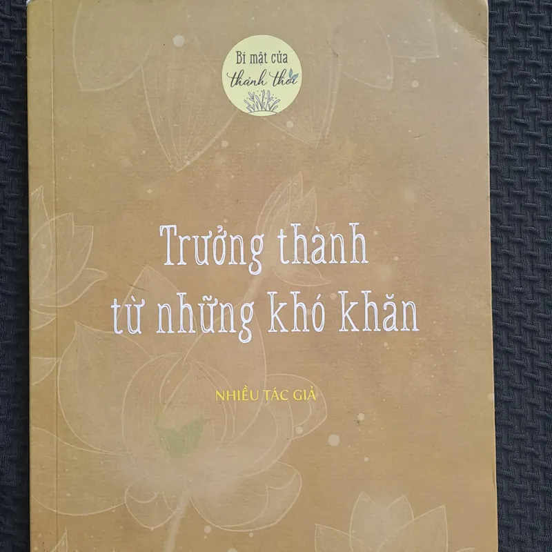 Trưởng Thành Từ Những Khó Khăn 310368