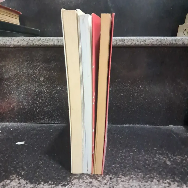 Nguyễn Ngọc Tư 1027684