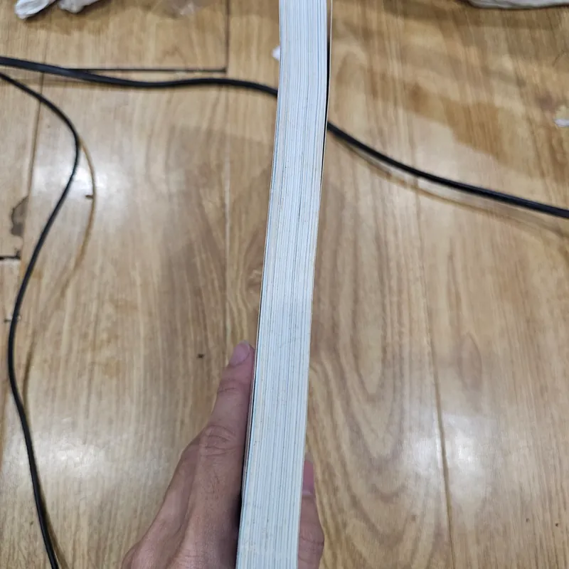 Chiến thắng trò chơi cuộc sống (mất bìa, đủ nội dung)
 723304