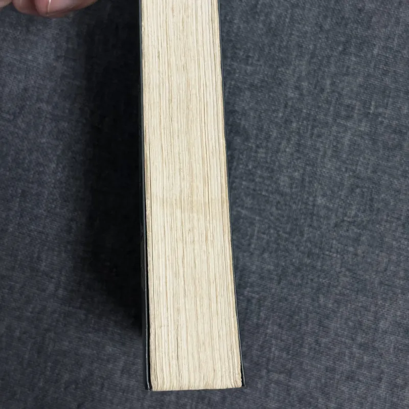 Bình minh mưa - Konstantin Paustovsky 931443