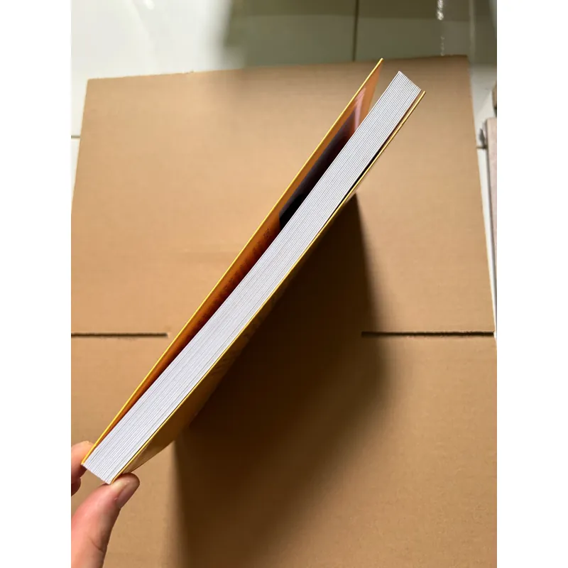 Giá như tôi biết những điều này trước khi thi đại học - Đinh Tuấn Ân 740466