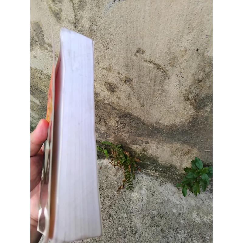 Bí mật gia đình tiểu thuyết của Irène Frain  1005704