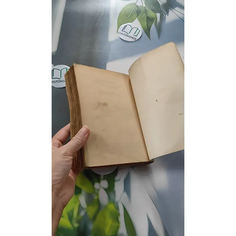 [XƯA] Còn Hơn Tội Lỗi (1991) - Barney Leason 776056