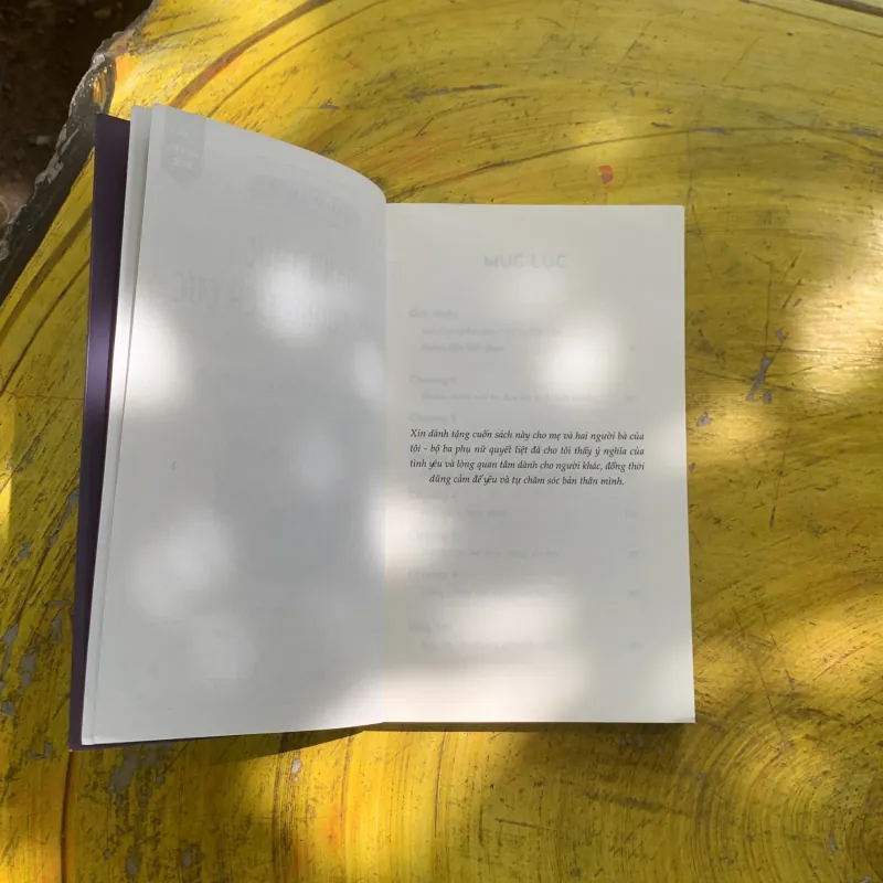 ĐÁNH THỨC NĂNG LƯỢNG TÍCH CỰC - EMILIE ARIES 937347