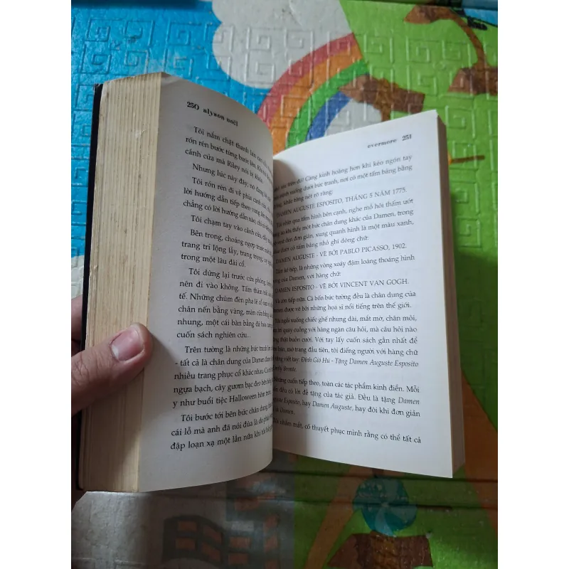 Bất Tử (Evermore) 976087