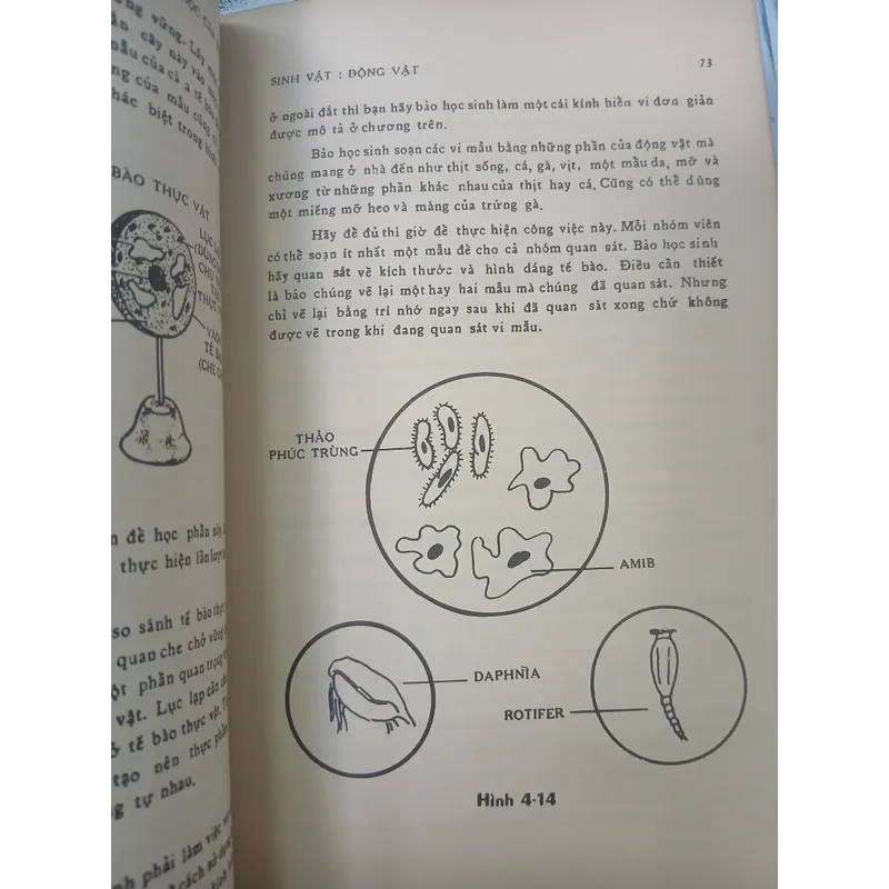 DẠY KHOA HỌC CĂN BẢN - RITA LANGLEY 735328