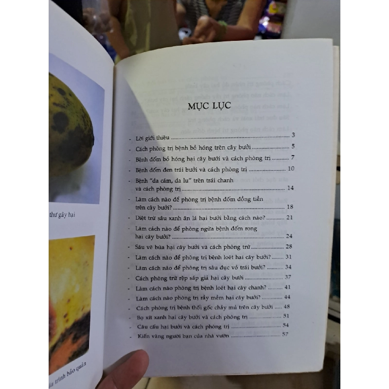 Hỏi đáp về phòng trừ dịch hại cây trồng quyển 4 cây ăn trái mới 90% Nguyễn Danh Vàn 2008 HCM0308 GIÁO TRÌNH, CHUYÊN MÔN 920214