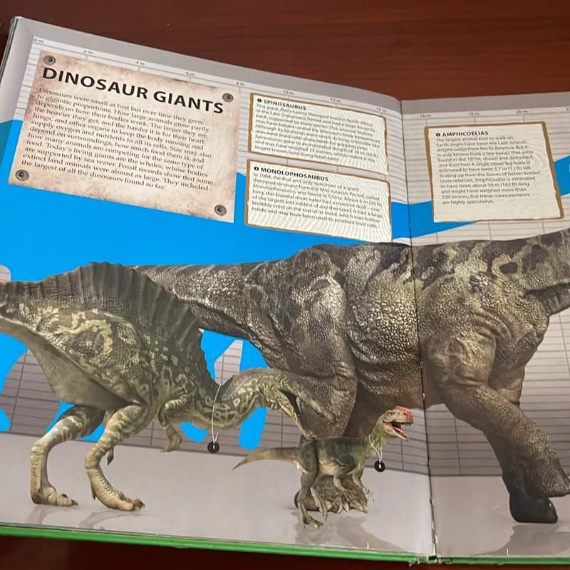 PICTURE BOOK Wow! Dinosaur 536206
