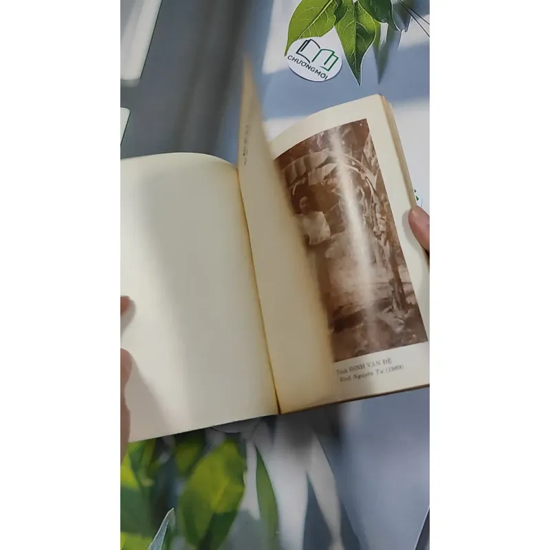 [XƯA] Nói Chuyện Cao Đài (1998) - Thiên Vương Tinh 776149